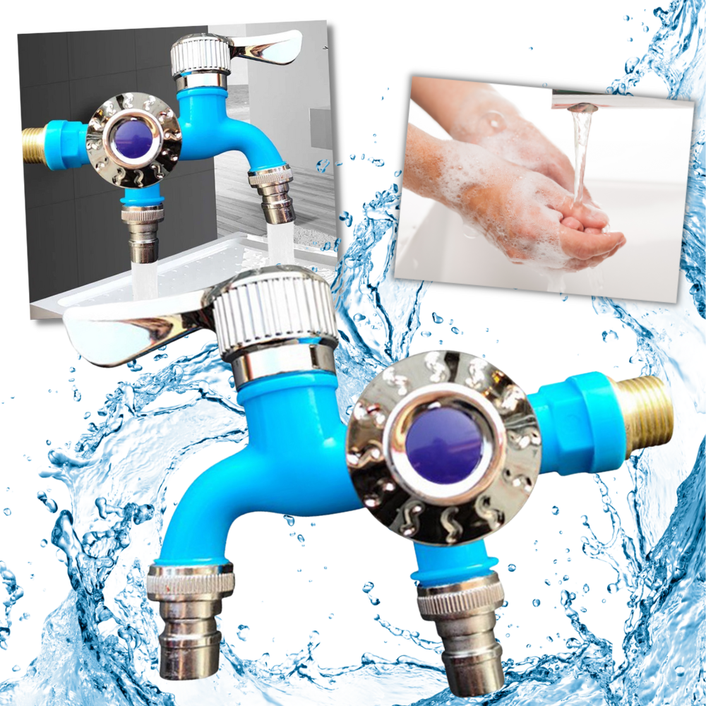 Dual Head Faucet